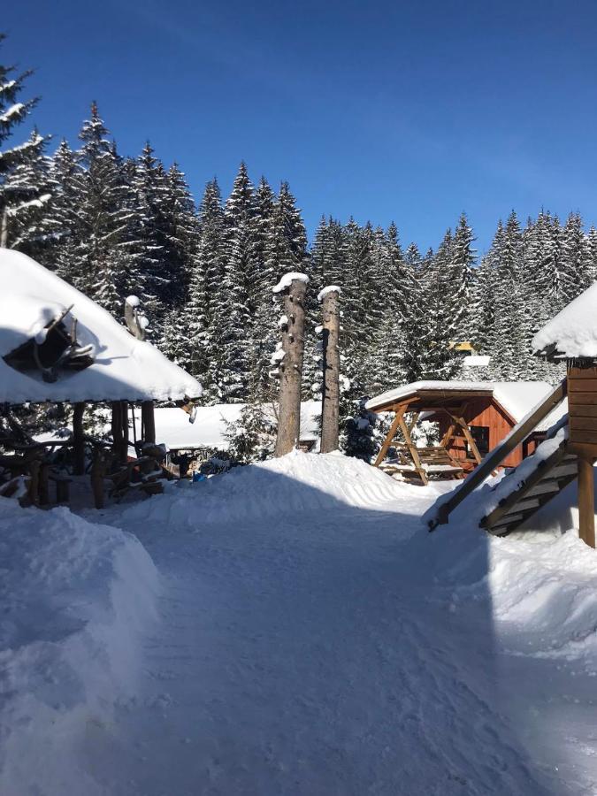 Hotel Bartka Яблоница Экстерьер фото
